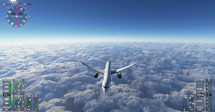 Microsoft Flight Simulator Screenshot 2021.02.02 - 13.52.35.84