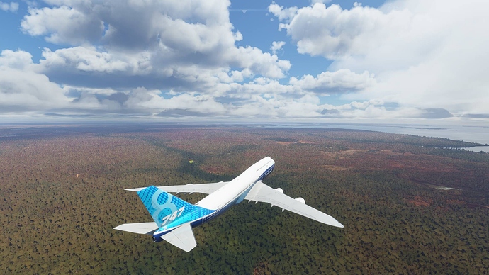Microsoft Flight Simulator Screenshot 2020.11.02 - 01.48.15.13
