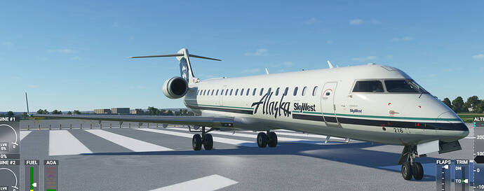 Microsoft Flight Simulator (3)