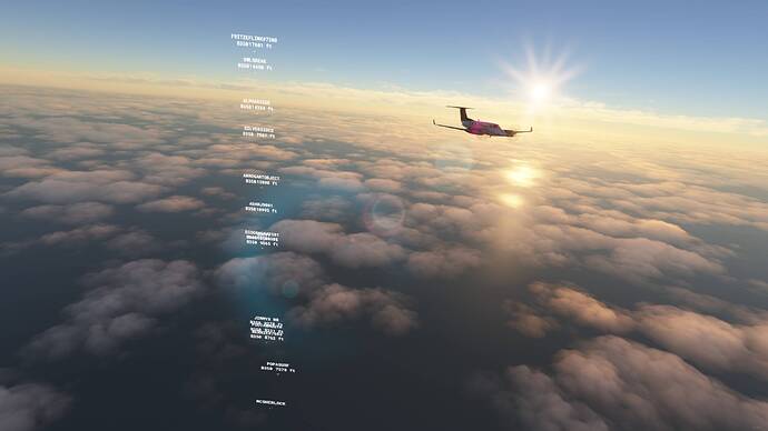 Microsoft Flight Simulator - 1.15.8.0 03.05.2021 22_11_50