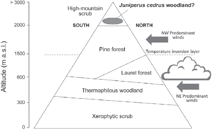 Vegetation-belts-of-the-Canary-Islands-including-the-proposed-Juniperus-cedrus