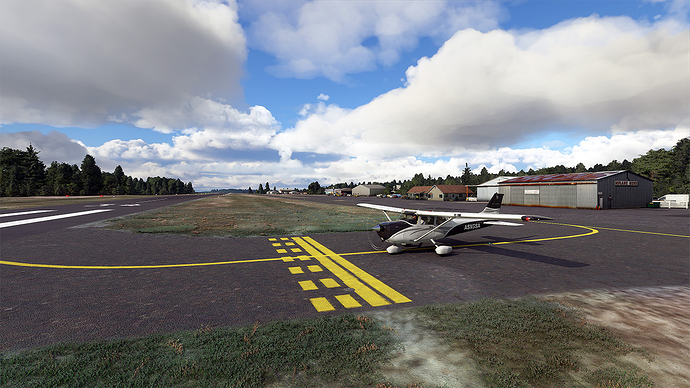 Microsoft Flight Simulator 2020-08-25 20_38_34 jpeg
