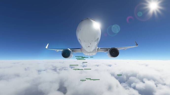 Microsoft Flight Simulator 12.02.2021 21_52_17