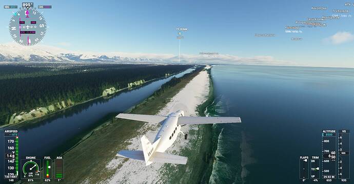 Microsoft Flight Simulator Screenshot 2021.02.22 - 20.50.48.25