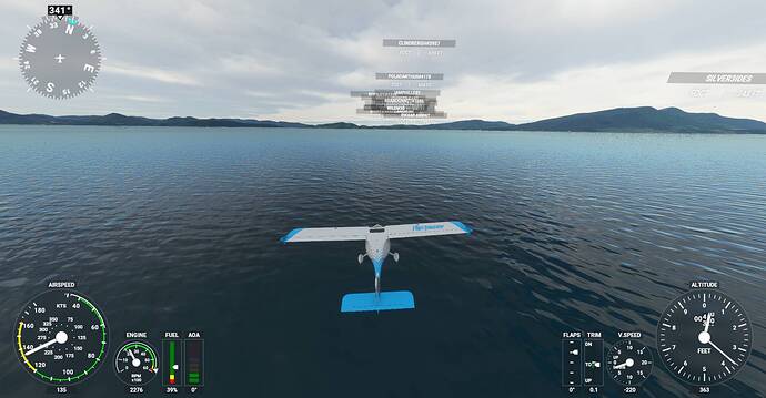 Microsoft Flight Simulator Screenshot 2021.01.03 - 20.27.59.01