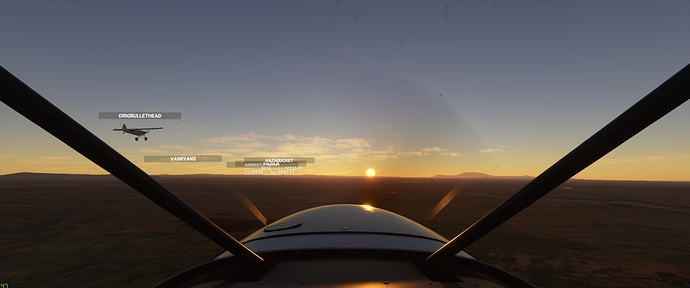 Microsoft Flight Simulator 9_7_2020 6_31_44 PM