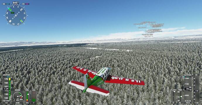 Microsoft Flight Simulator Screenshot 2021.03.14 - 20.45.43.24