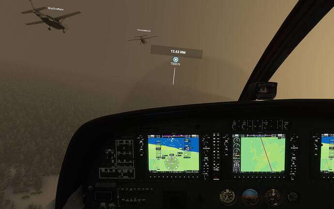 Microsoft Flight Simulator 15_02_2021 20_13_29