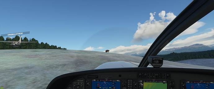 Microsoft Flight Simulator 10_24_2020 5_03_39 PM