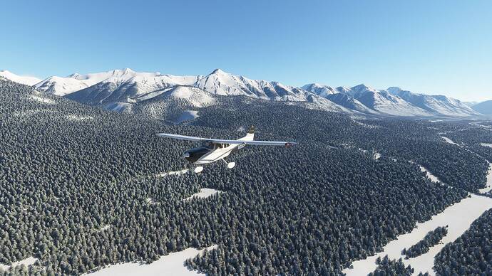 Microsoft Flight Simulator Screenshot 2021.01.14 - 15.56.46.60