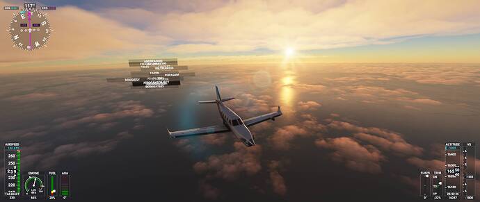 Microsoft Flight Simulator 03_05_2021 22_16_30