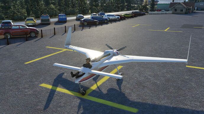 Microsoft Flight Simulator Screenshot 2020.11.13 - 19.11.25.96