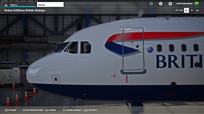 Microsoft Flight Simulator 13_09_2020 05_04_27