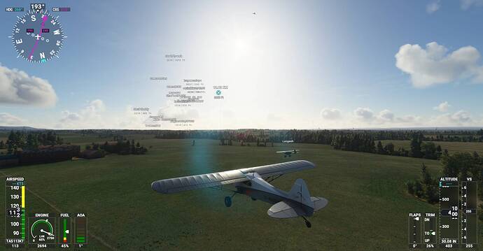 Microsoft Flight Simulator Screenshot 2021.03.06 - 20.05.49.89