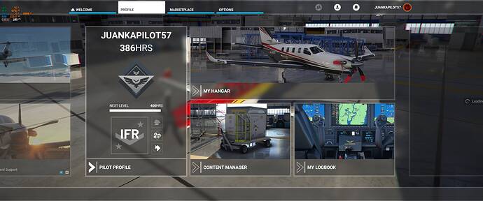 Microsoft Flight Simulator Screenshot 2020.11.20 - 23.30.16.32
