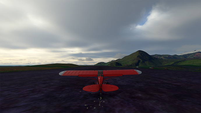 Microsoft Flight Simulator 2020-08-29 11_27_49 jpeg