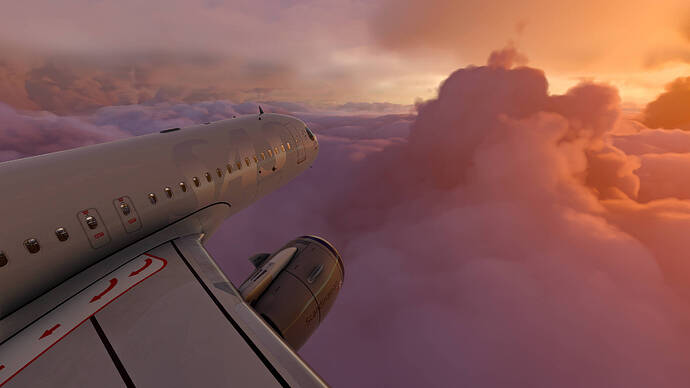Microsoft Flight Simulator 15_12_2020 21_01_01