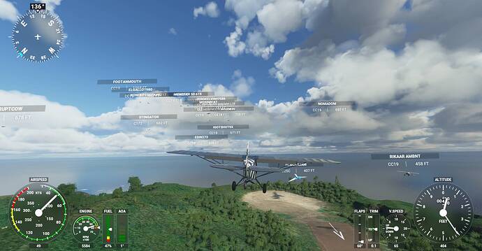 Microsoft Flight Simulator Screenshot 2020.12.31 - 20.43.38.29