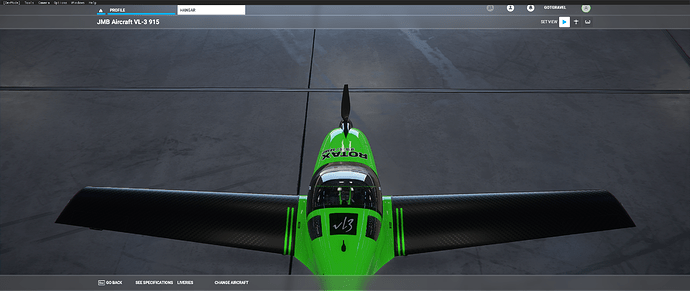Microsoft Flight Simulator Screenshot 2020.10.11 - 17.01.23.58