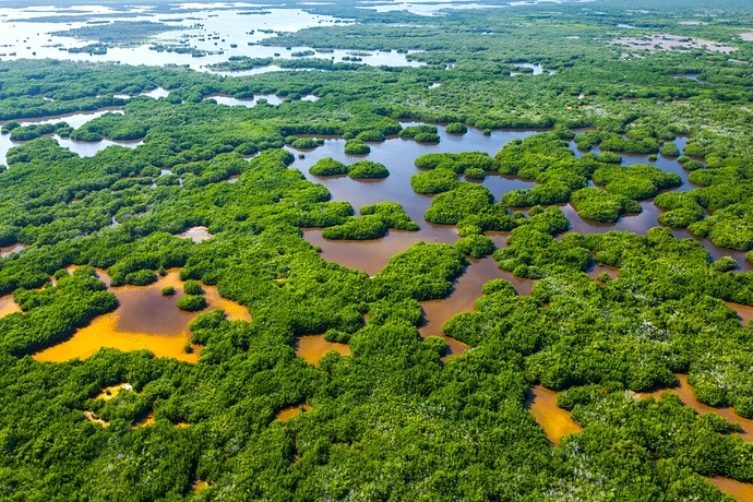 Everglades-GettyImages-1129589680