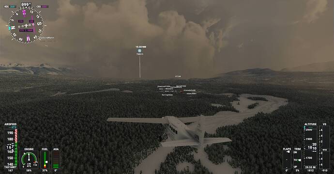 Microsoft Flight Simulator Screenshot 2021.02.28 - 20.31.05.20
