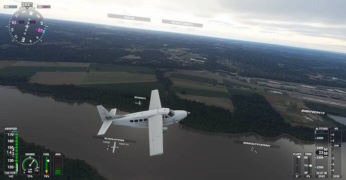 Microsoft Flight Simulator Screenshot 2020.11.29 - 16.15.53.76