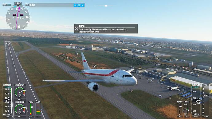 Microsoft Flight Simulator 30_01_2021 17_10_16