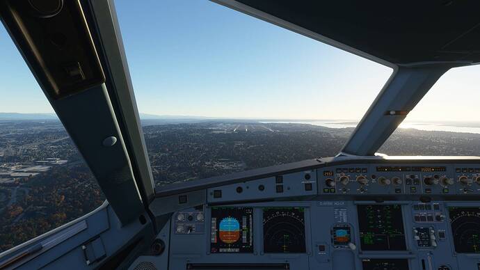 Microsoft Flight Simulator Screenshot 2020.12.31 - 18.47.25.09