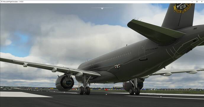 Microsoft Flight Simulator 22.03.2021 14_14_36