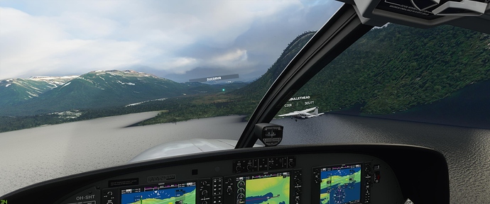 Microsoft Flight Simulator 10_24_2020 5_11_28 PM