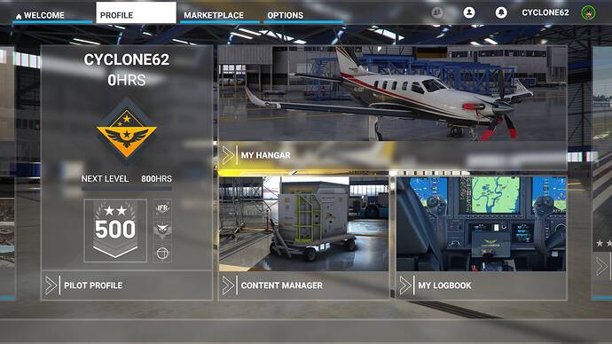 Microsoft Flight Simulator Screenshot 2021.04.13 - 17.56.23.27