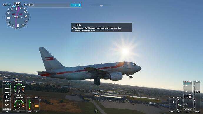 Microsoft Flight Simulator 30_01_2021 17_10_08