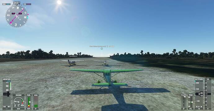 Microsoft Flight Simulator Screenshot 2021.01.09 - 19.52.16.92