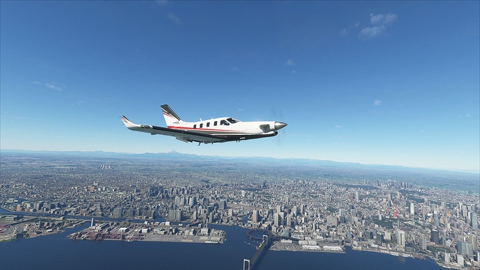 Microsoft Flight Simulator