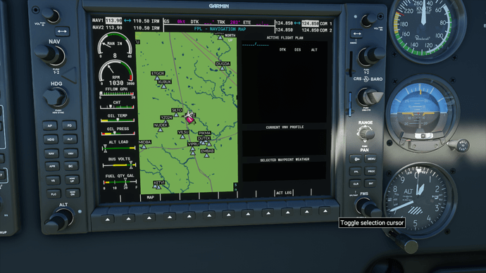 Microsoft Flight Simulator 2020-08-24 3_00_30 AM