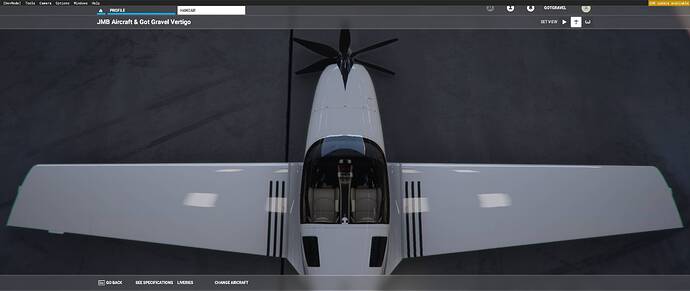 Microsoft Flight Simulator Screenshot 2021.04.21 - 02.28.27.69