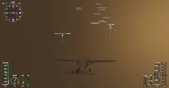 Microsoft Flight Simulator Screenshot 2021.02.28 - 20.48.53.80
