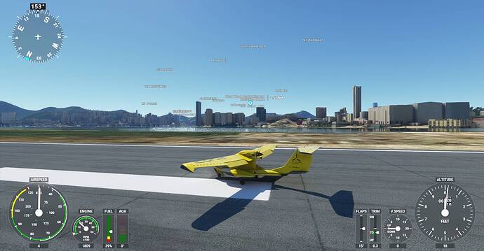 Microsoft Flight Simulator Screenshot 2021.01.22 - 21.24.34.07