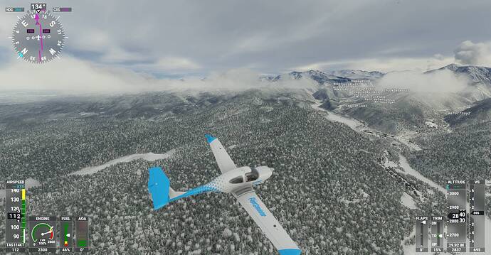 Microsoft Flight Simulator Screenshot 2021.01.10 - 20.21.36.86