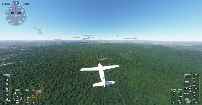 Microsoft Flight Simulator Screenshot 2021.03.05 - 02.17.58.15