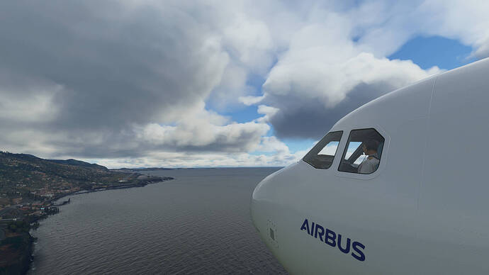 Microsoft Flight Simulator Screenshot 2021.02.06 - 13.12.08.46
