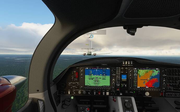 Microsoft Flight Simulator 12_04_2021 20_49_14