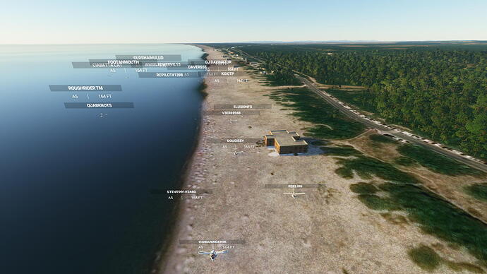 Microsoft Flight Simulator Screenshot 2020.11.11 - 23.24.36.80