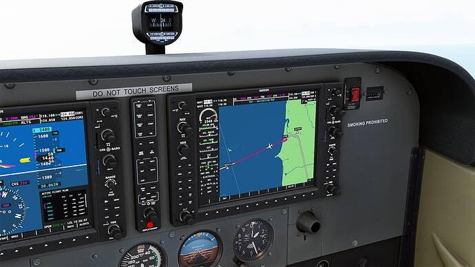 Microsoft Flight Simulator 2021-05-03 09_56_43