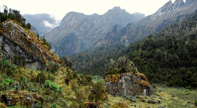 RwenzoriMountainsNationalPark4