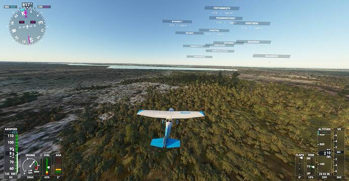 Microsoft Flight Simulator Screenshot 2021.01.06 - 21.41.25.35