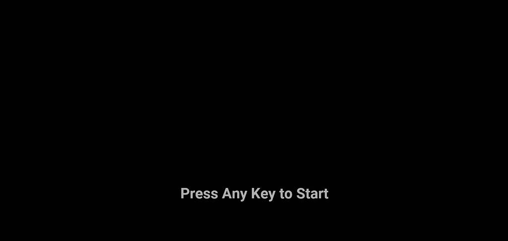 Press any key to startup