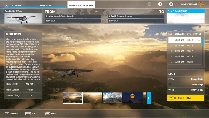 Microsoft Flight Simulator 10_19_2020 1_44_03 PM