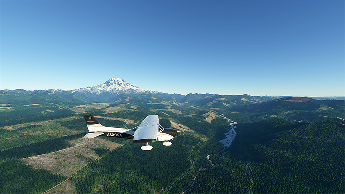Microsoft Flight Simulator 2020-08-28 21_30_54 jpeg