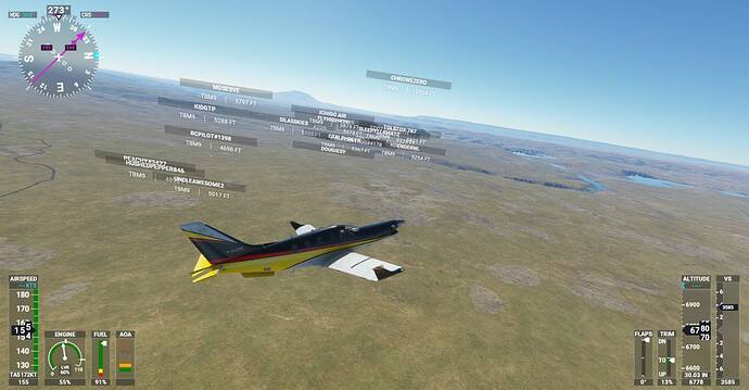 Microsoft Flight Simulator Screenshot 2020.11.25 - 20.55.28.08
